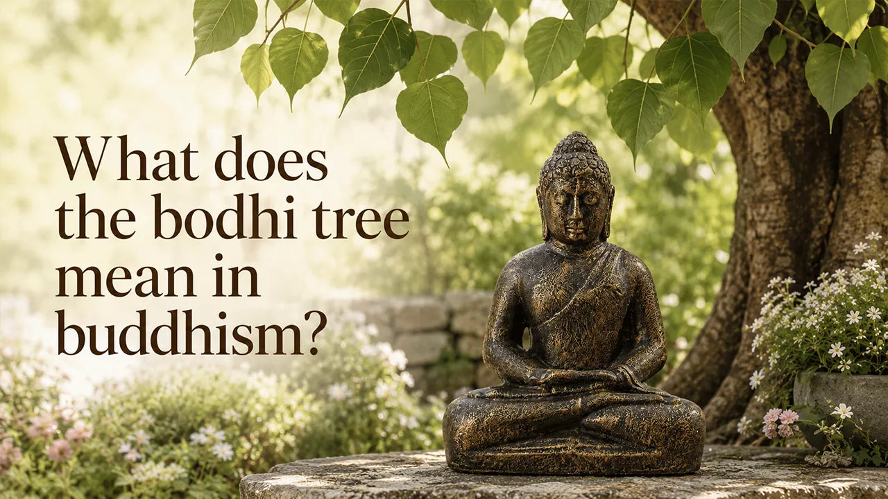 What does the bodhi tree mean in buddhism?