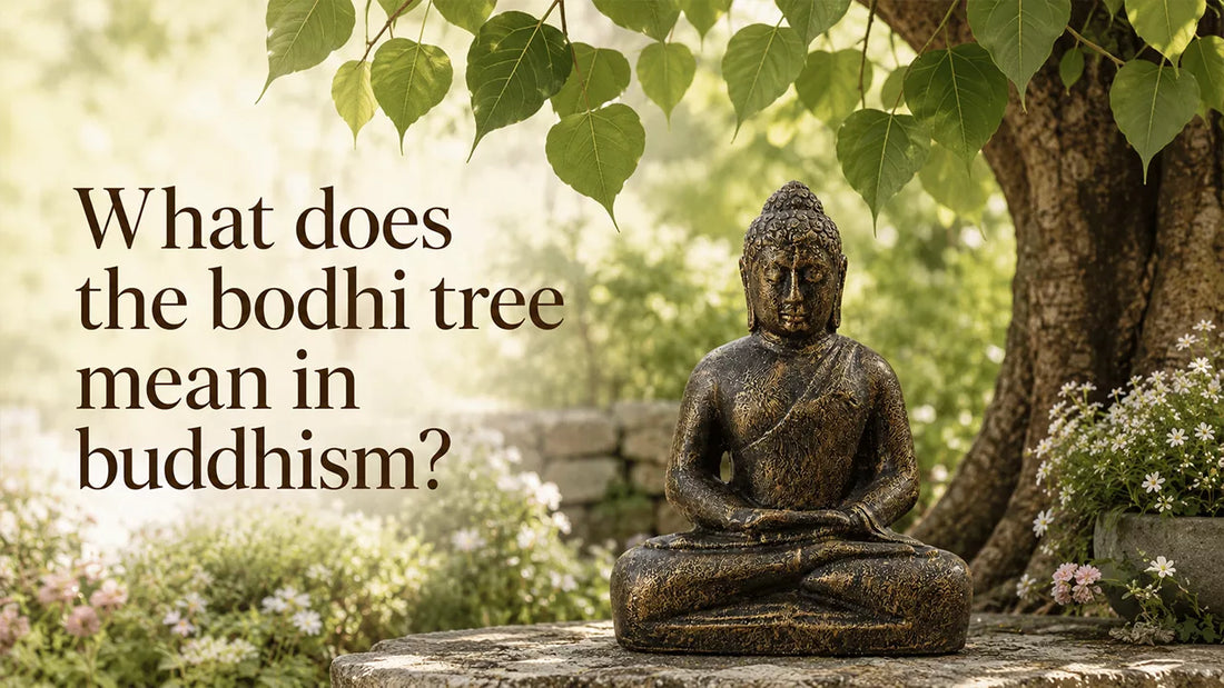What does the bodhi tree mean in buddhism?