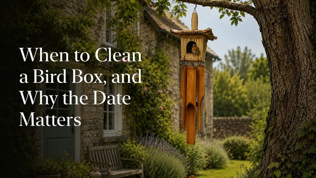 When to Clean a Bird Box, and Why the Date Matters