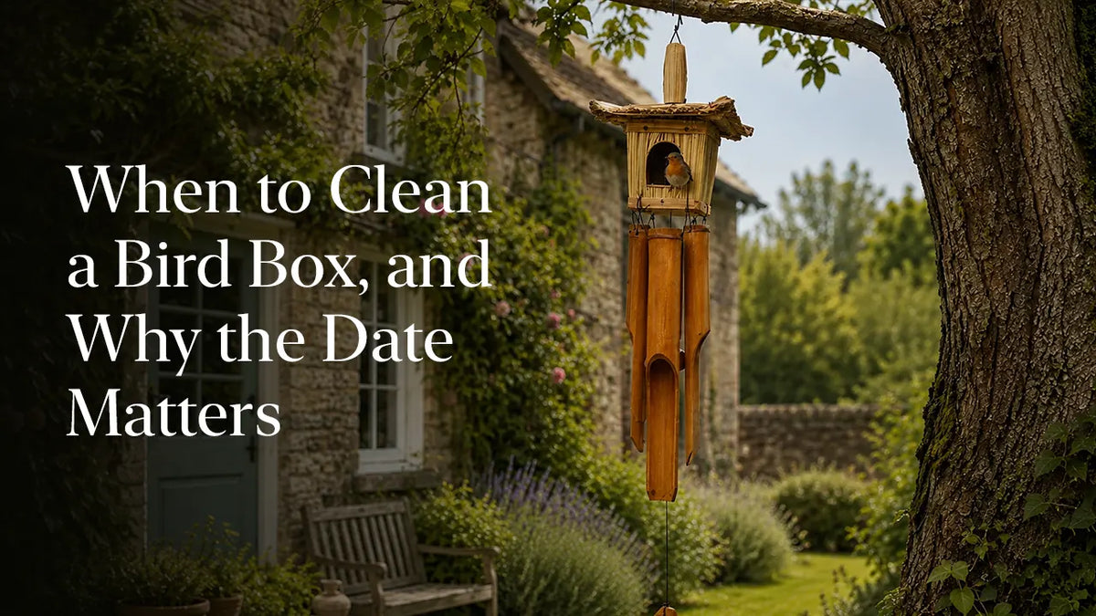 When to Clean a Bird Box, and Why the Date Matters