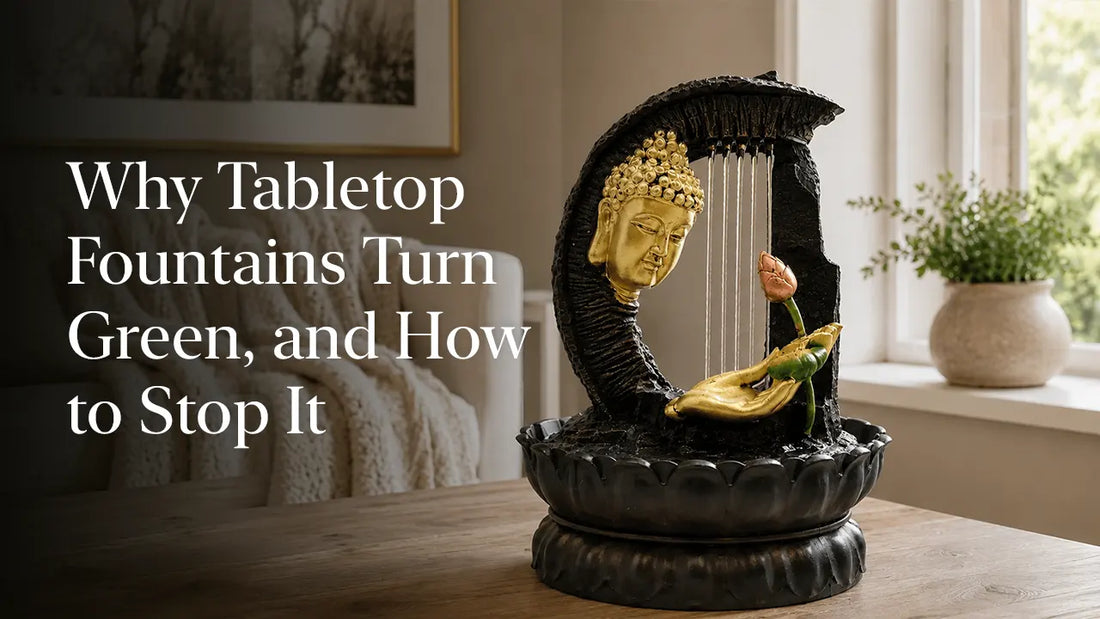 Why Tabletop Fountains Turn Green, and How to Stop It
