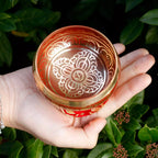 A hand holding a small decorative bowl with a red and gold floral pattern, set against a background of green leaves.