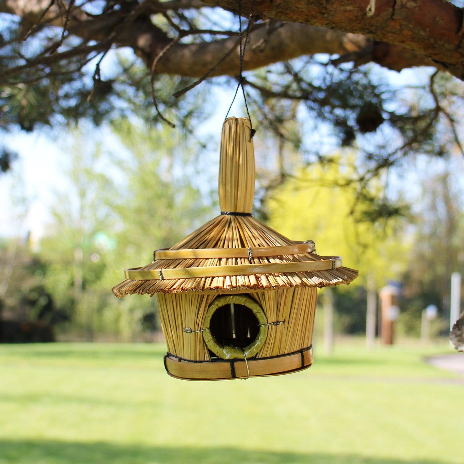 Small Round Seagrass Bird Box 17x17cm hanging from a tree branch in a garden setting, showcasing natural woven seagrass texture and round entrance hole.