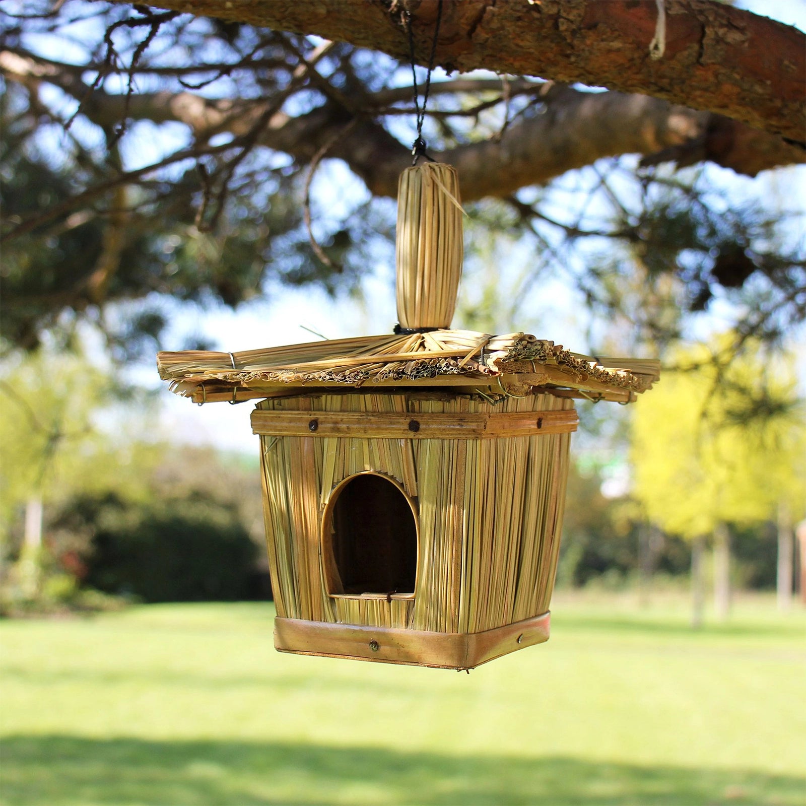 Small Square Seagrass Bird Box 18x13cm hanging from a tree branch outdoors, handcrafted from natural seagrass with a small entrance hole in a peaceful garden setting