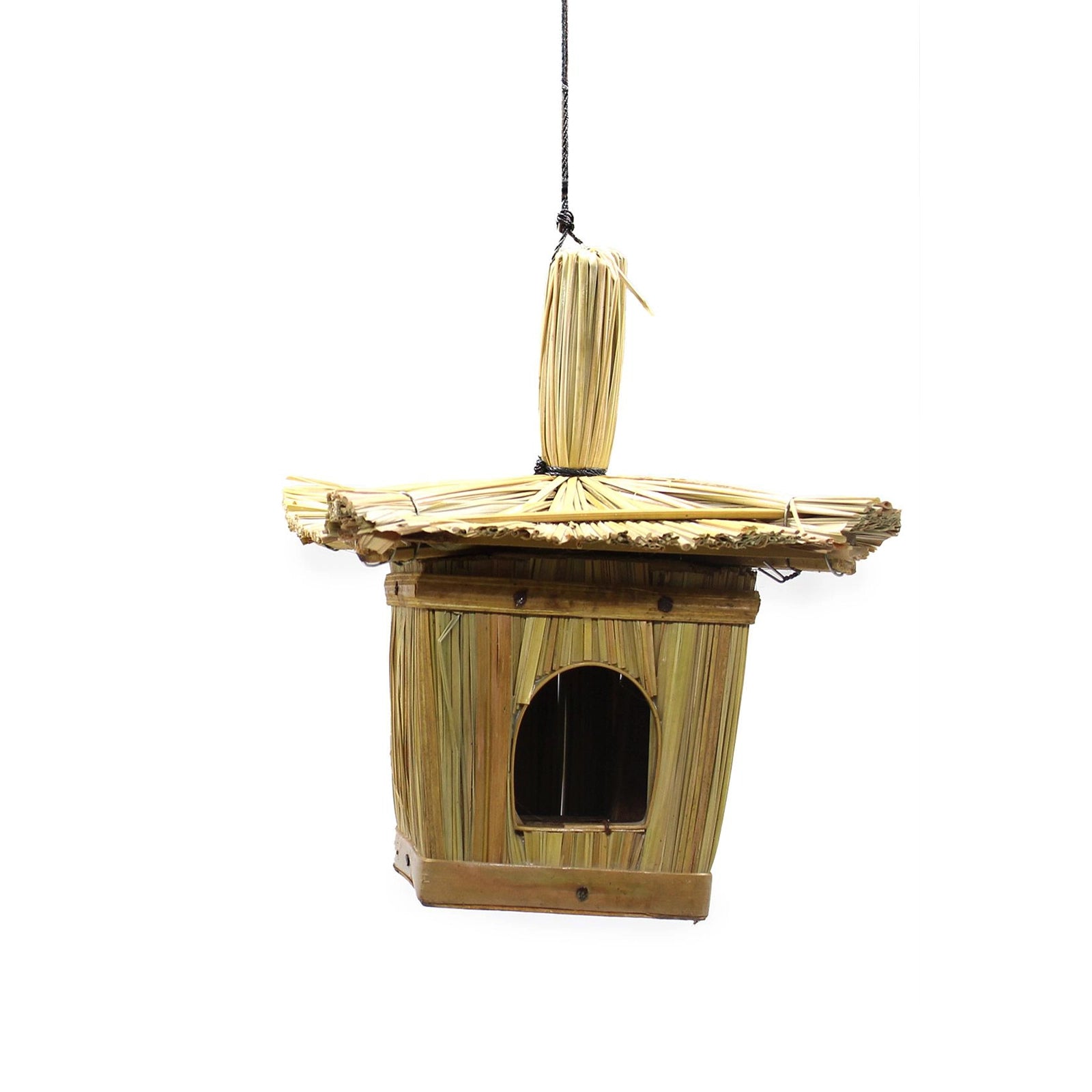 Small Square Seagrass Bird Box 18x13cm hanging from a tree branch outdoors, handcrafted from natural seagrass with a small entrance hole in a peaceful garden setting