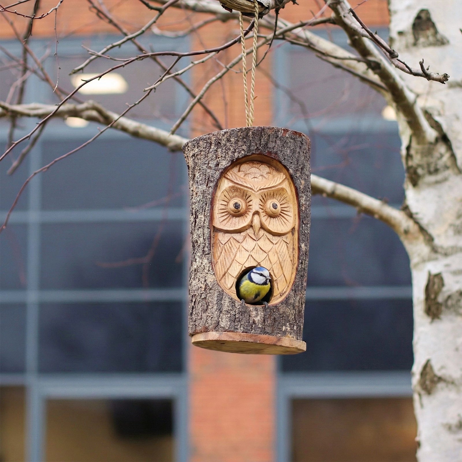 Tree Trunk Face - Bird House - Wise Owl features a hand-carved owl design on natural wood, combining rustic charm with functional birdhouse craftsmanship.