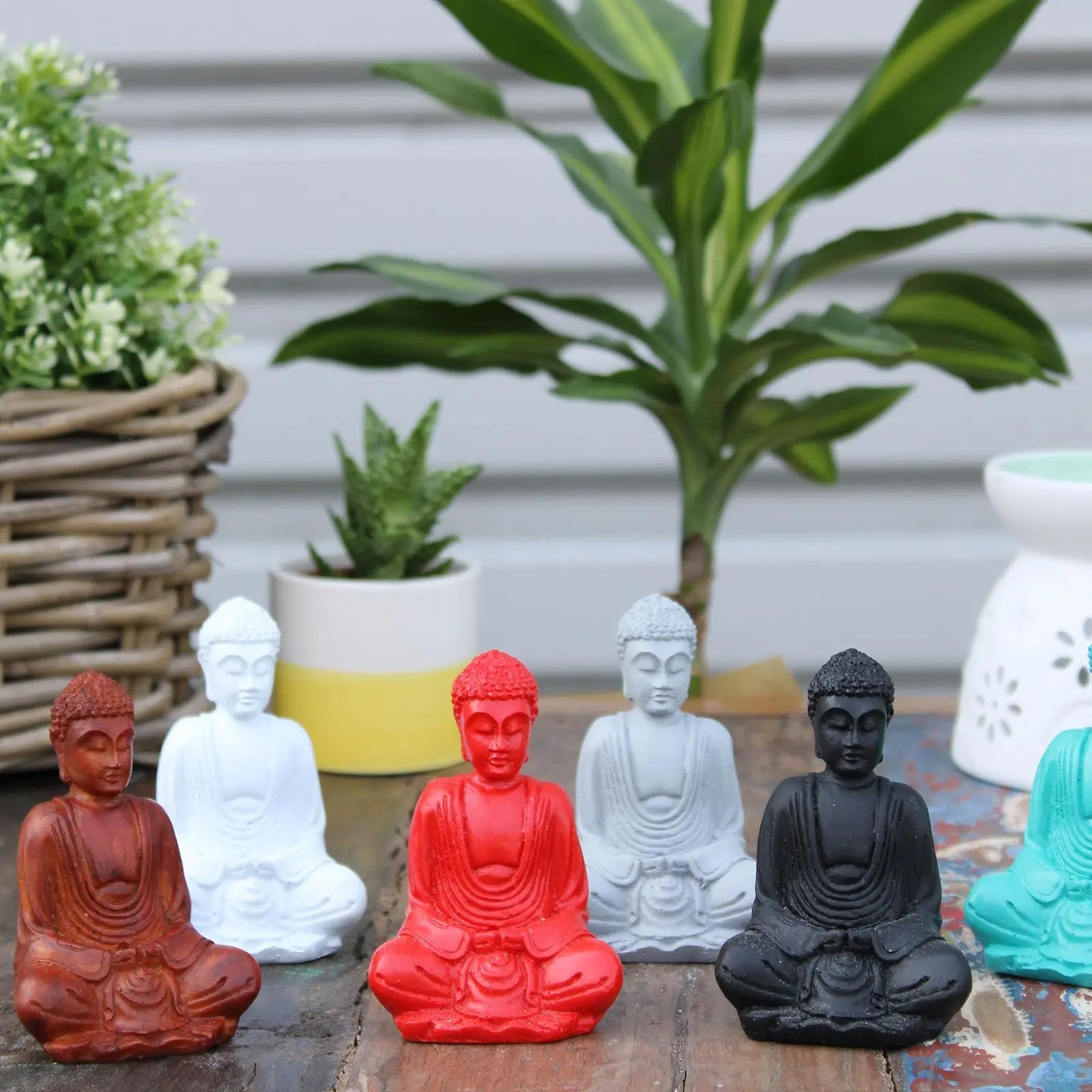 A collection of Matt Mini Buddha (Assorted Colours) statues in red, black, white, brown, and turquoise displayed on a rustic wooden surface with plants in the background.