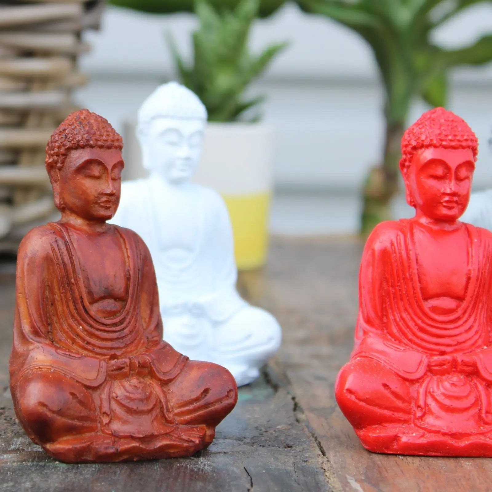 Three Matt Mini Buddha (Assorted Colours) statues in earthy brown, white, and vibrant red hues displayed on a wooden surface with blurred green plants in the background.