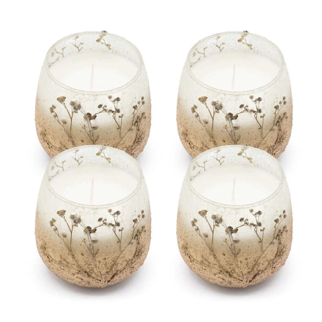 Set of four Medium Glass Jar Candles - Wildlight Woods featuring frosted glass with delicate botanical patterns and natural earthy tones.